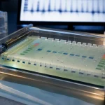 Électrophorèse ADN, ARN et protéines : gel, pH et charge